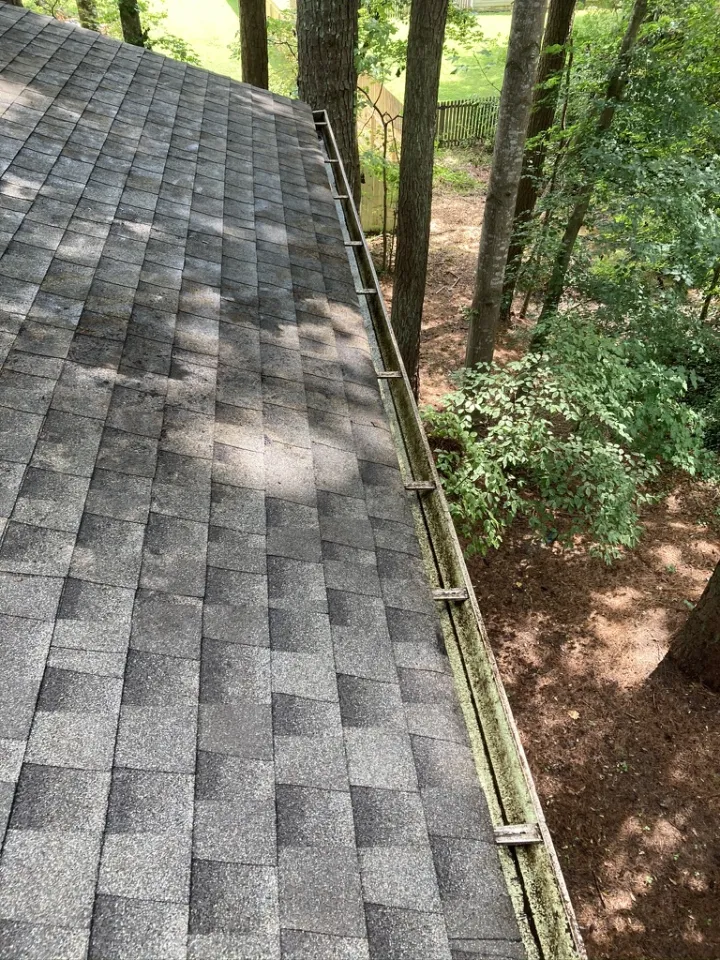 Residential shingle roof cleared of pine straw after debris removal